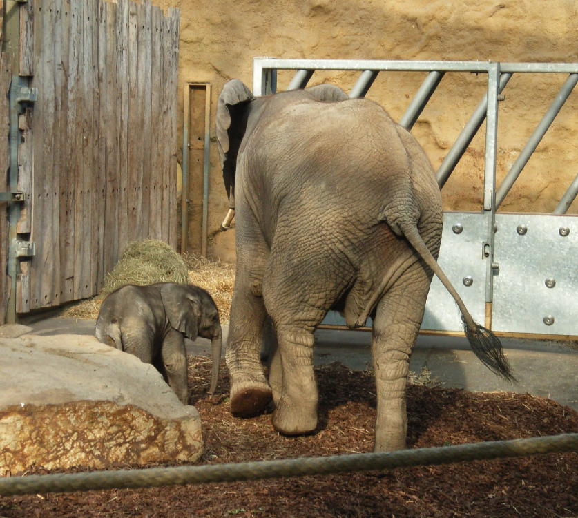 Dresden__20060402_0039